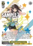 Ssy/W123-T08 TD SOS団入団試験！
