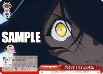 UMA/W119-077 CR 焼き付けられた残光