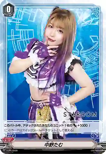 V-PR/0500 ナカノタム