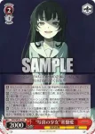 VRG/WE52-13H HR “写真の少女”常盤愛