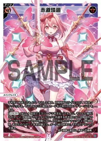 WX25-P3-003 LR 赤道燐廻