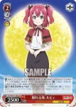 YHN/W111-066 U 才色兼備 ダイヤ