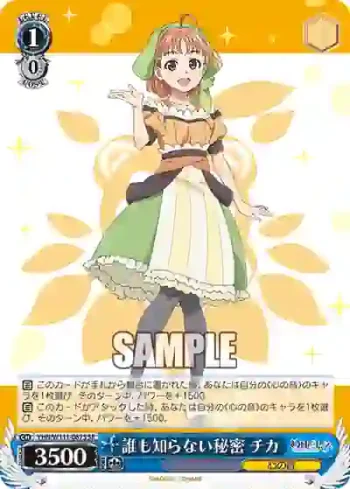 YHN/W111-087S SR 誰も知らない秘密 チカ
