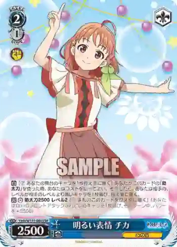 YHN/W111-088S SR 明るい表情 チカ