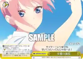5HY/W101-022 CC 女優の演技