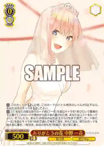 5HY/W101-054HYR HYR ありがとうの花 中野 一花