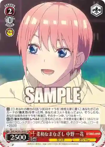 5HY/W101-063S SR 柔和なまなざし 中野 一花