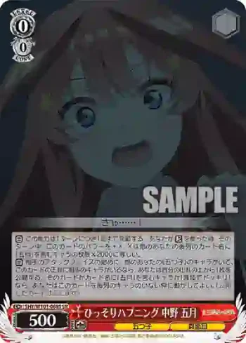 5HY/W101-068S SR ひっそりハプニング 中野 五月