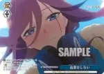 5HY/W101-100 CC 進みたい夢