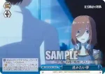 5HY/W101-100 CC 進みたい夢
