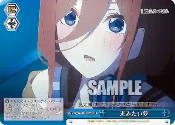 5HY/W101-100R RRR 進みたい夢