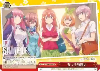 5HY/W83-T18 TD 五つ子勢揃い
