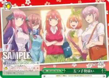 5HY/W83-T80 TD 五つ子勢揃い