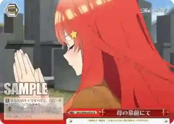 5HY/W90-079 CR 母の墓前にて