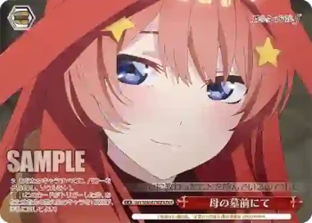 5HY/W90-079OFR OFR 母の墓前にて