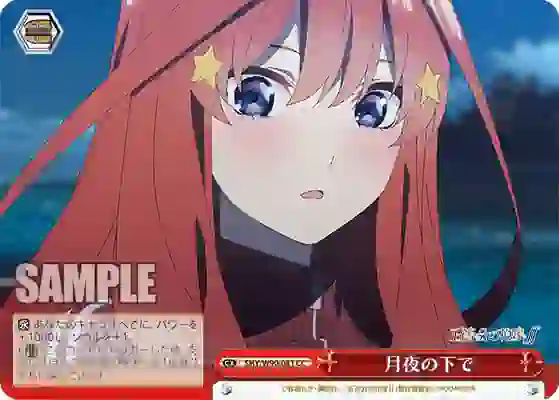 5hy_w90_081 5HY/W90-081 CC 月夜の下で