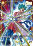 (異畫)FB02-119 SR★ 孫悟空(プレミアムカードコレクション02)