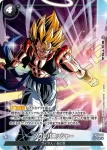 (異畫)FB05-116 UC★ ソウルパニッシャー(バトルパック06)