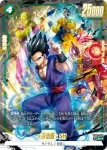(異畫)FB07-058 SR★ 孫悟飯：SH(ブースターパック　神龍への願い[FB07])