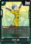 (異畫)FB07-066 SR★ ピッコロ：SH(ブースターパック　神龍への願い[FB07])