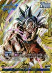 (異畫)FB09-025 L★★ 孫悟空(ブースターパック DUAL EVOLUTION [FB09])