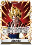 FB09-096 SR 悪鬼を討つ戦士(ブースターパック DUAL EVOLUTION [FB09])