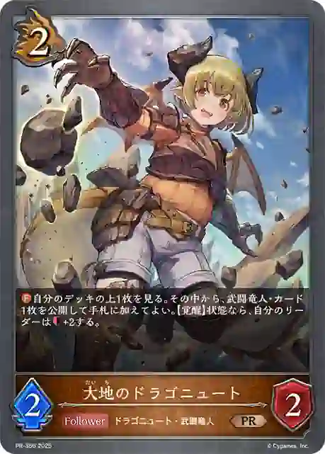 PR-356 PR-356 PR 大地のドラゴニュート