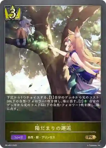 PR-453 PR 陽だまりの邂逅