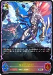 PR-491 PR 一世の探究