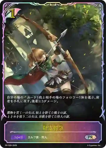 PR-529 PR 対空射撃