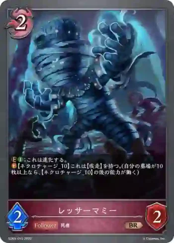 SD05-010 BR レッサーマミー