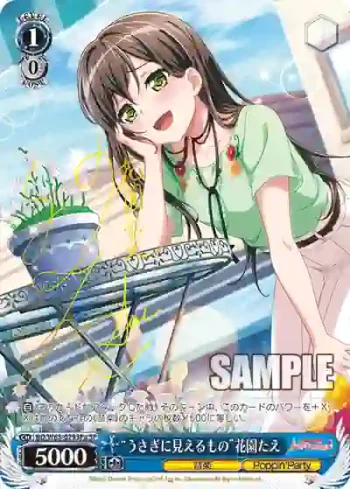 (簽名)BD/W63-079SPa SPa “うさぎに見えるもの”花園たえ