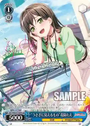 (簽名)BD/W63-079SPb SPb “うさぎに見えるもの”花園たえ