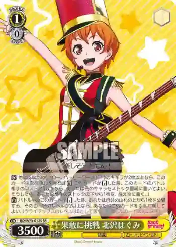 BD/W73-012S SR 果敢に挑戦 北沢はぐみ