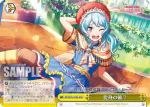 BD/W95-028 CC 変身の術？