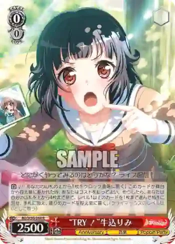 BD/W95-068 R “TRY！”牛込りみ