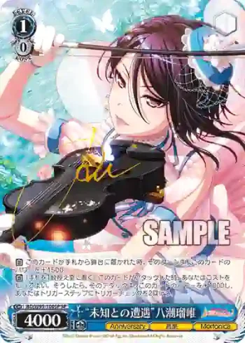(簽名)BD/W95-100SP SP “未知との遭遇”八潮瑠唯