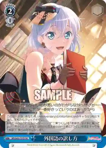 BD/W95-120S SR 外国語の訳し方