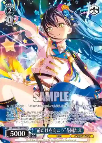 BD/W95-P06 PR “前だけを向こう”花園たえ