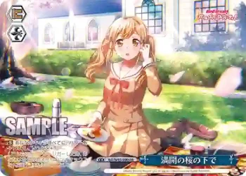 BD/W95-P09 PR 満開の桜の下で