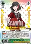 BD/W95-P57 PR “次のステージへ”丸山彩
