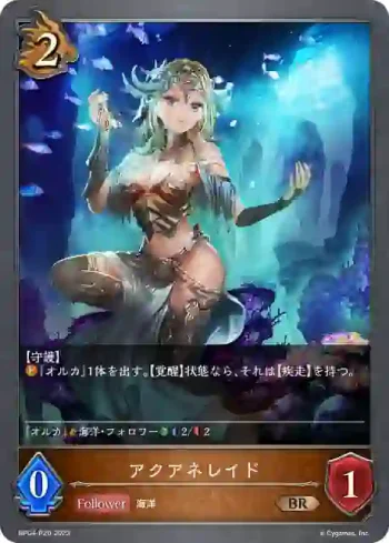 BP04-P20 BR・プレミアム アクアネレイド
