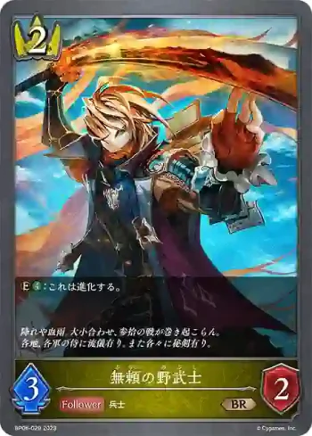 BP06-029 BR 無頼の野武士