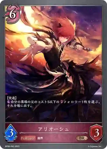 BP08-080 BR アリオーシュ
