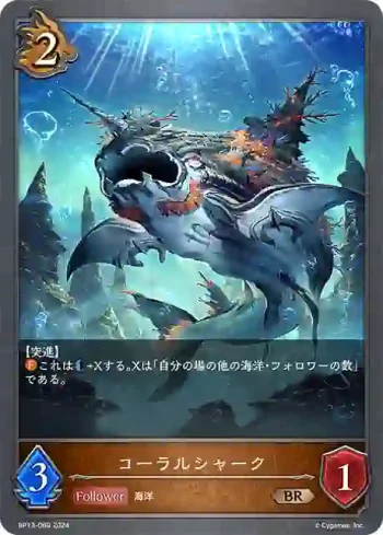 BP13-069 BR コーラルシャーク