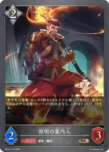 BP14-118 BR 照明の案内人