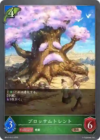 BP17-013 BR ブロッサムトレント