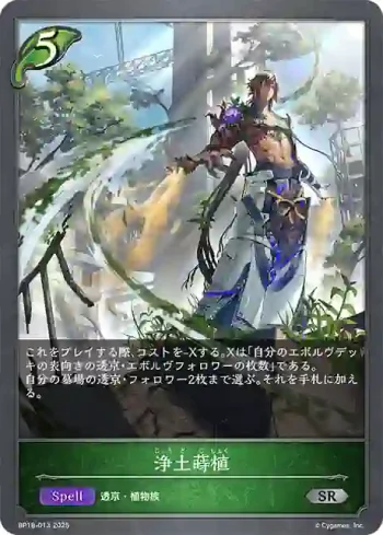 BP18-013 SR 浄土蒔植