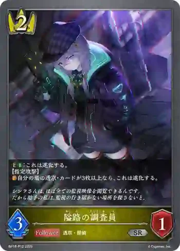 BP18-P12 SR・プレミアム 隘路の調査員