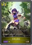 BP19-035 BR ヘヴィーウォーリアー